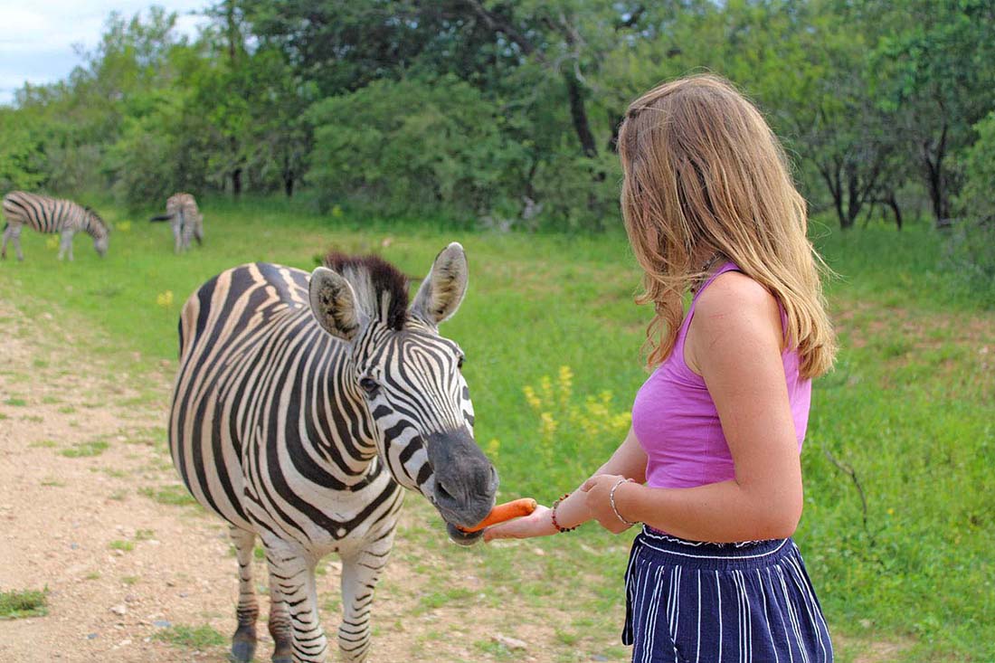 Taking A Walk Through Marloth Park